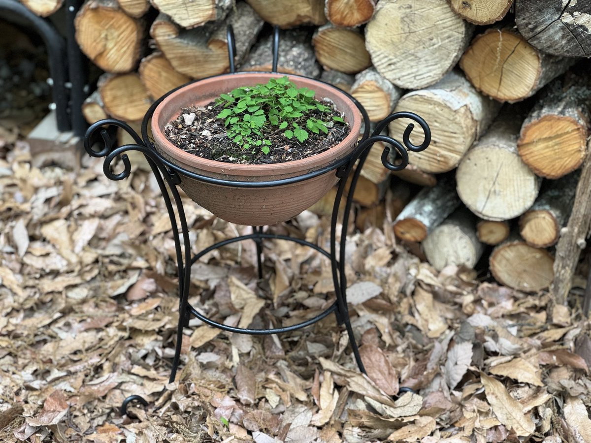 kozpaper's tweet image. GWのDIYその１ー②
完成〜
だから〜遊ぶな！って🤣

#コズ紙以外オートバイサービス
#アイアンフラワースタンド
#DIY
#半自動
#GWのDIY
#トミカ
#TOMICA