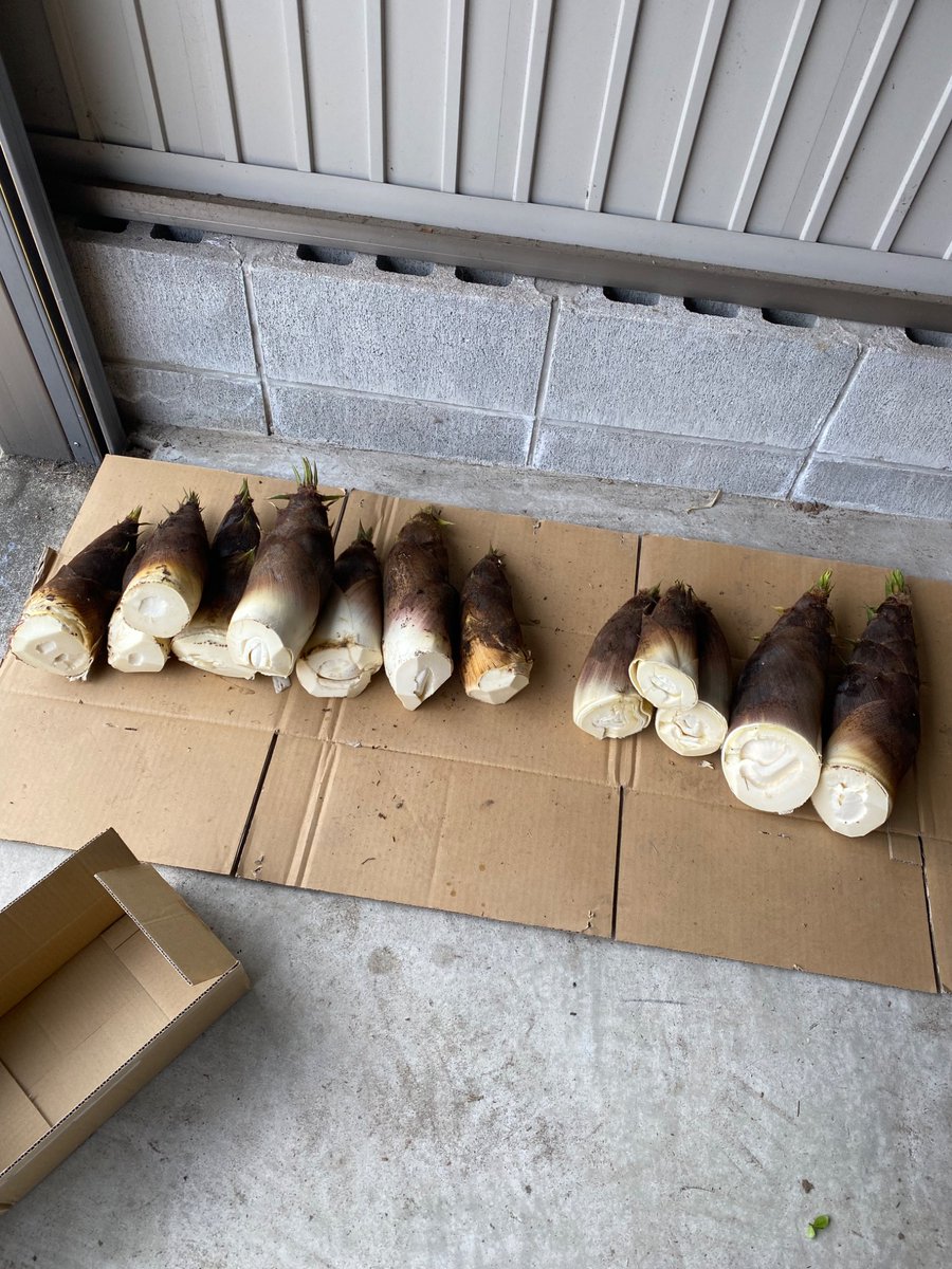 toromeka's tweet photo. 今期の現時点までの釣果です https://t.co/UfISoBl9lz