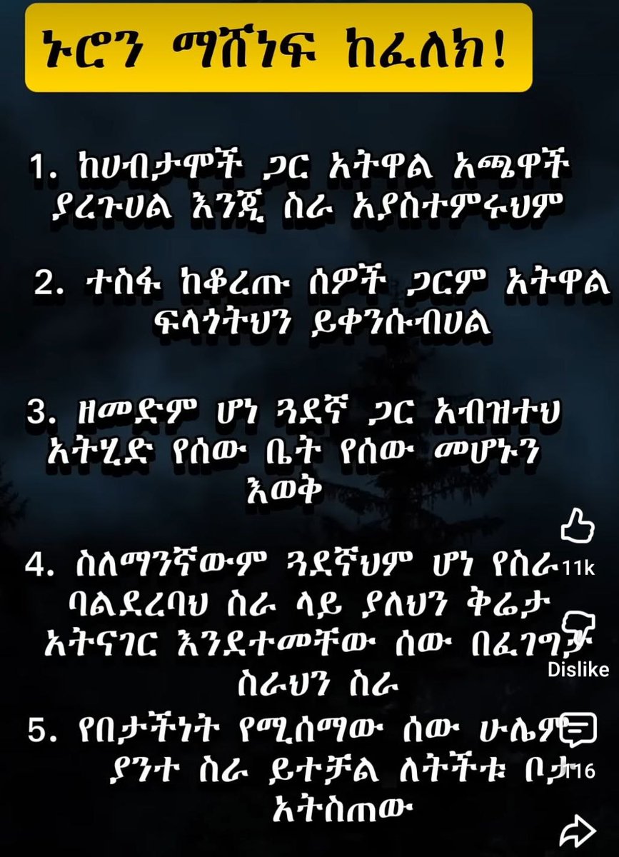 Vision Ethiopian Congress for Democracy(VECOD) tweet media