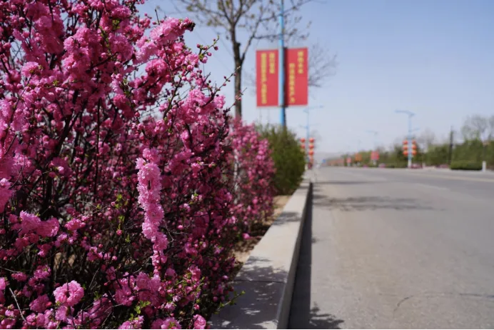 Spring is sweeping through Juungar Economic Development Zone. 🌱

Everywhere you turn, fresh green welcomes you.