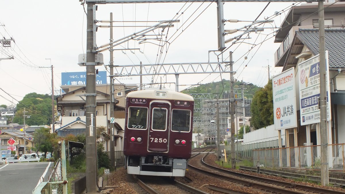 やなはら みさき(柵原美咲)(鉄道・岡山〈最広義〉・水泳A) tweet media