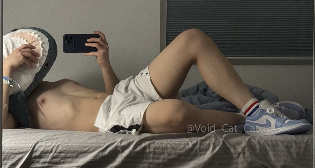 Void Cat Catus tweet media