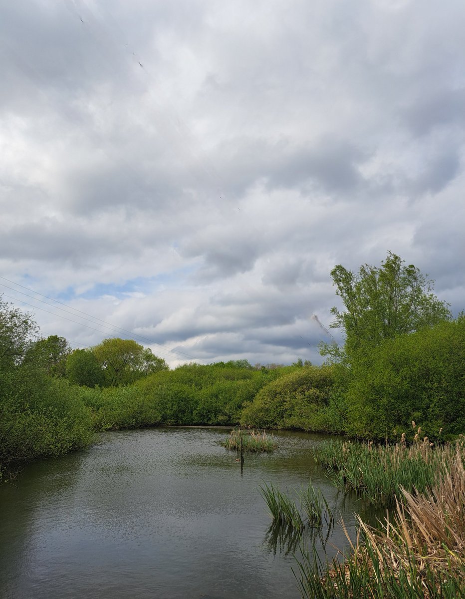 fionajroberts1's tweet image. Good morning from Dorset. A different pond for you today. Yesterday's sky in #Poole #StormHour