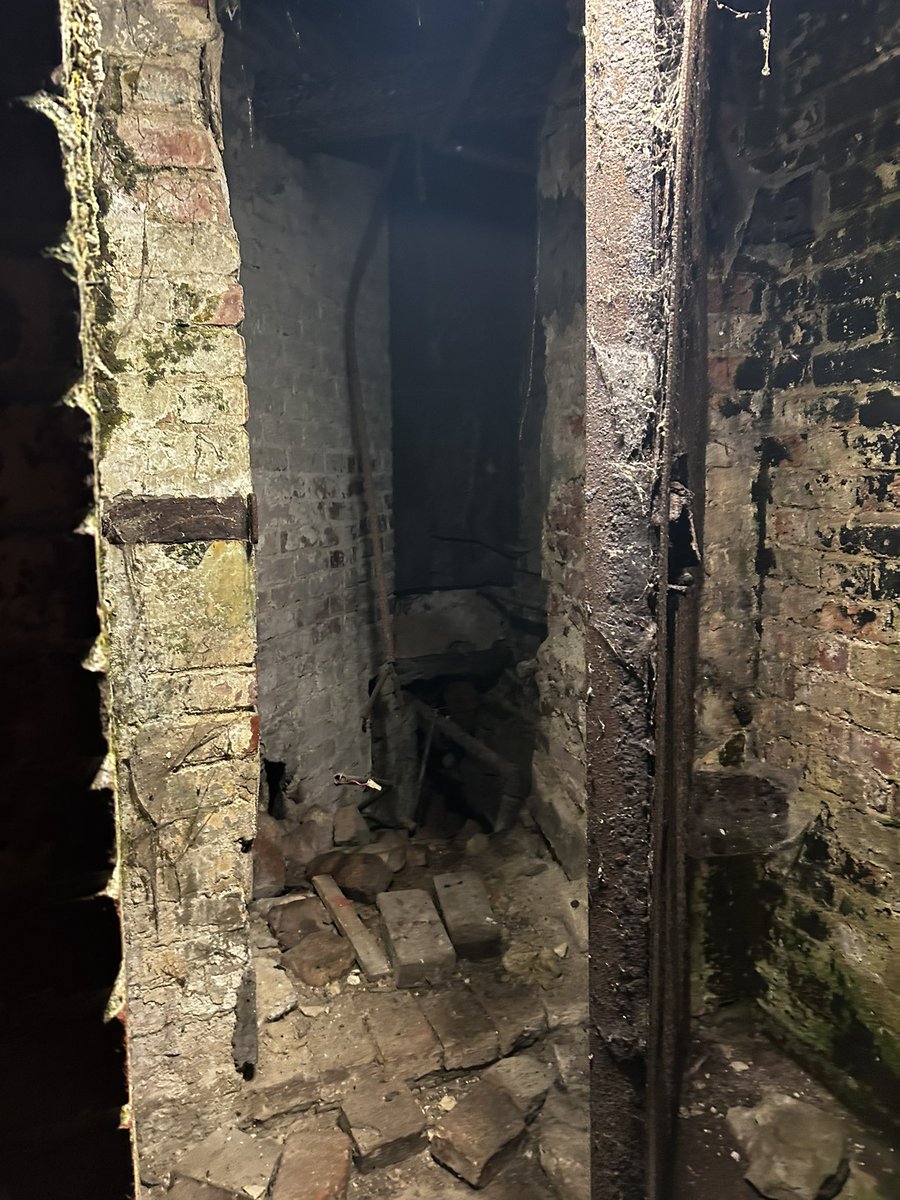 hako 🍎 tweet media