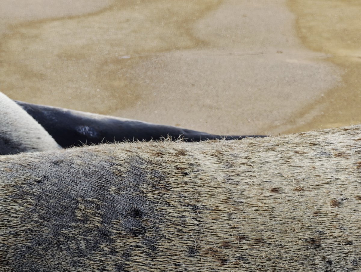 MUKAI Satoru tweet media