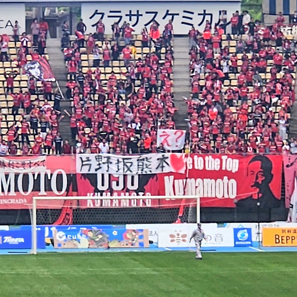 Tadashi⚽🐢⚾🐮🐯 tweet media