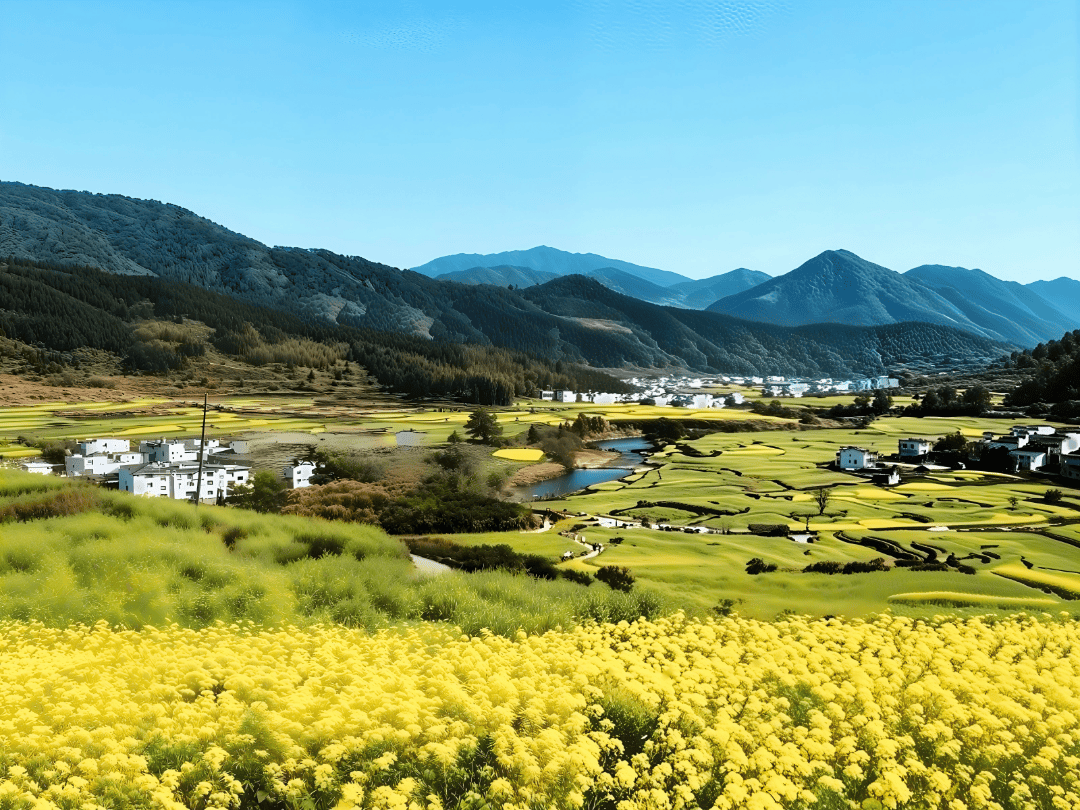 opantos's tweet image. Woke up to golden rice terraces u0026 a village elder’s homemade honey tea—this is why slow travel beats the rush.  #WanderWisely #HiddenGems