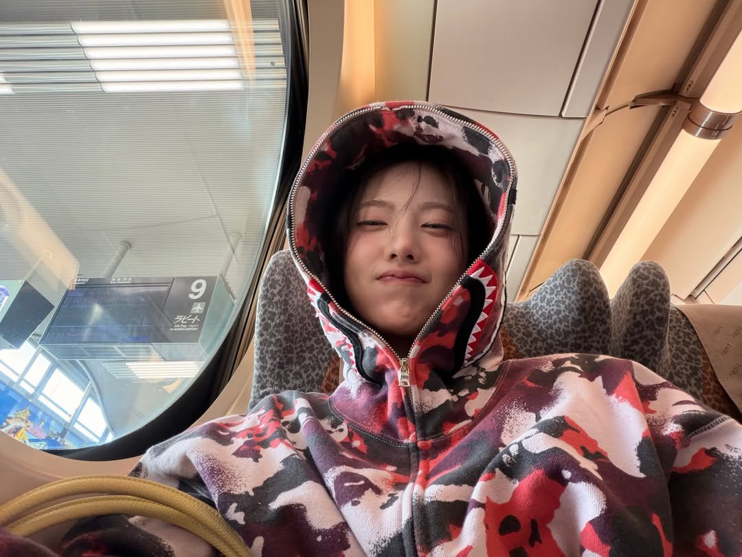 설 tweet media