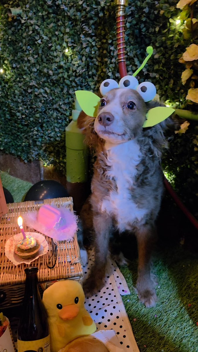 Chavare2003's tweet photo. Cumple
De
Romi https://t.co/FFLS4i6DqE