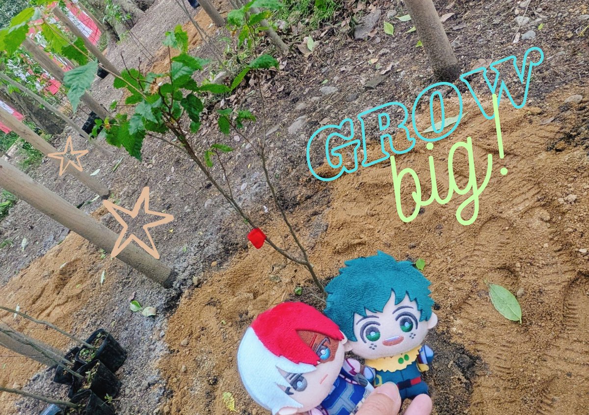 今日の🦸活動は植林です！
大きくなれ〜〜💪✨