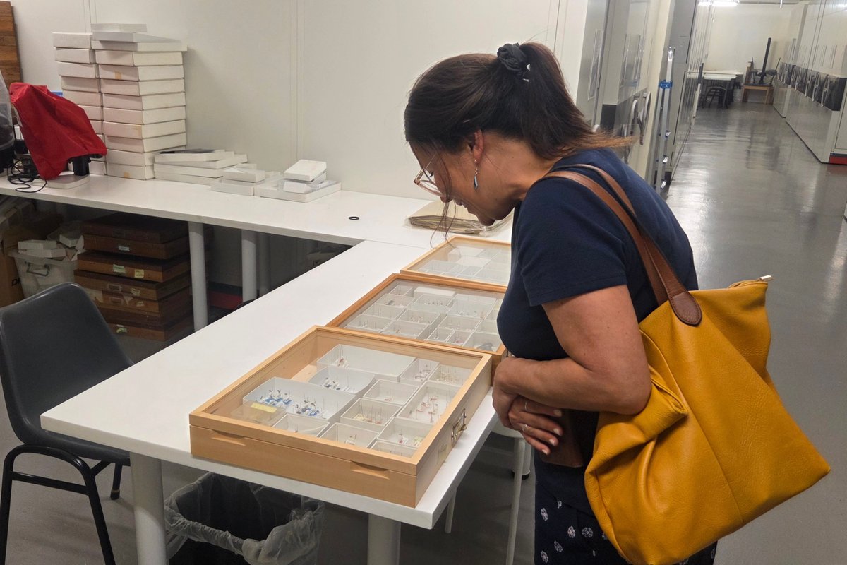 lkcnhm's tweet photo. Our Biodiversity Histories team were thrilled to host Ms Juliette Murphy on 20 Apr, daughter of the late zoologist Prof Dennis Hugh ‘Paddy’ Murphy. The team also showed her some of the insect specimens collected by Prof Murphy. 
 
📸:  
(2) Maimon Hussin 
(4) Juliette Murphy https://t.co/7Q2OqfHeTJ