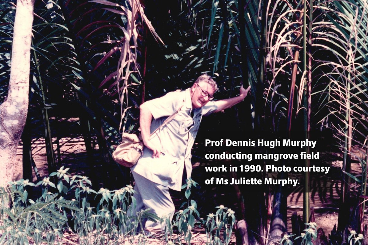 lkcnhm's tweet photo. Our Biodiversity Histories team were thrilled to host Ms Juliette Murphy on 20 Apr, daughter of the late zoologist Prof Dennis Hugh ‘Paddy’ Murphy. The team also showed her some of the insect specimens collected by Prof Murphy. 
 
📸:  
(2) Maimon Hussin 
(4) Juliette Murphy https://t.co/7Q2OqfHeTJ