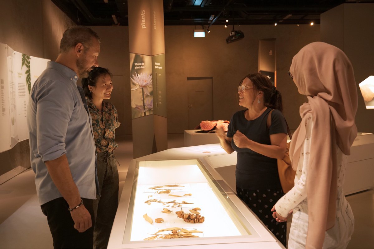 lkcnhm's tweet photo. Our Biodiversity Histories team were thrilled to host Ms Juliette Murphy on 20 Apr, daughter of the late zoologist Prof Dennis Hugh ‘Paddy’ Murphy. The team also showed her some of the insect specimens collected by Prof Murphy. 
 
📸:  
(2) Maimon Hussin 
(4) Juliette Murphy https://t.co/7Q2OqfHeTJ