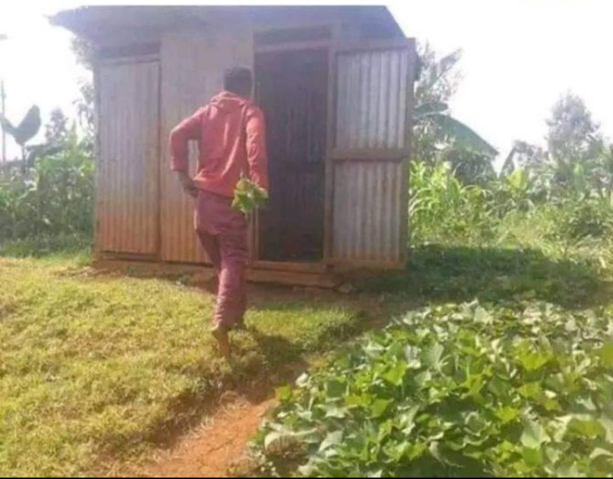 Veesmart2🌹 tweet media