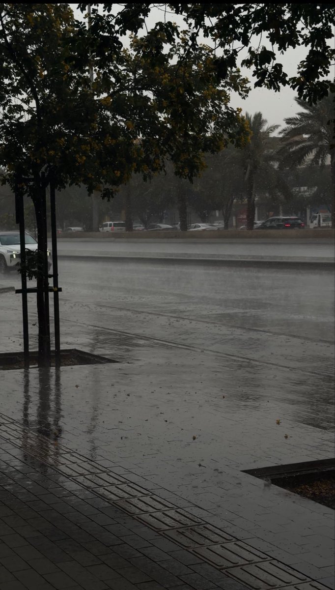Mmaram_khalid's tweet photo. صباح الأربعاء السعيد 🩵🌧️ https://t.co/V0oNZf7cBl