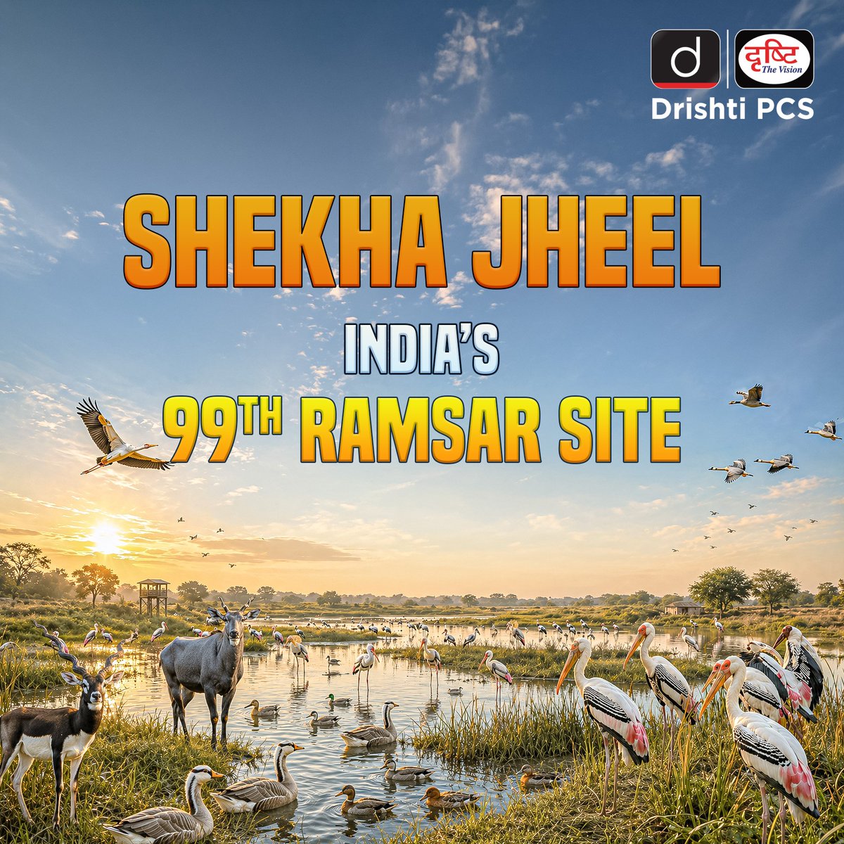 DrishtiPCS's tweet photo. Shekha Jheel in Uttar Pradesh has been declared a wetland of international importance, where 166+ species of water birds and rich biodiversity make it unique.
#RamsarSite #ShekhaJheel #Wetlands #Biodiversity #Environment #PCS #Ecology #IndiaEnvironment #RamsarConvention #DrishtiPCS