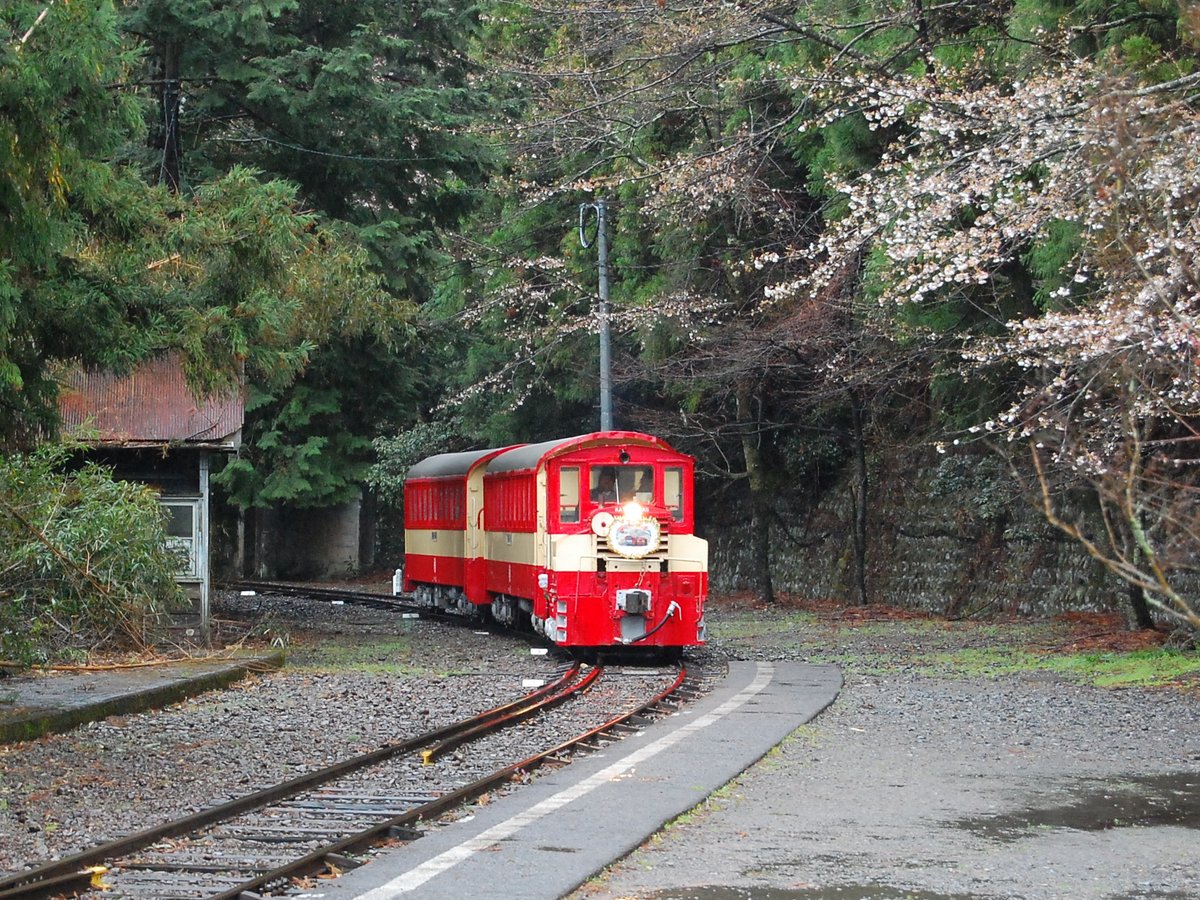 城東電軌 tweet media