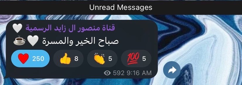 SEP 🇸🇦 tweet media