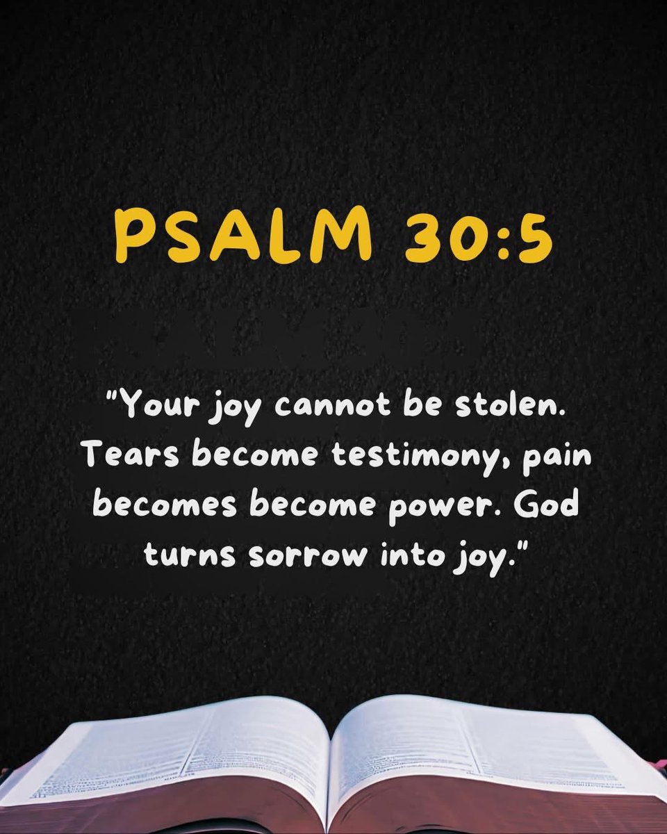 The Soul tweet media