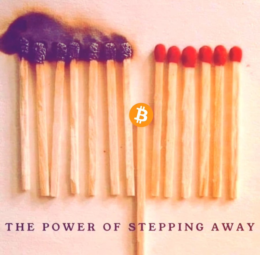 The Bitcoin Way tweet media