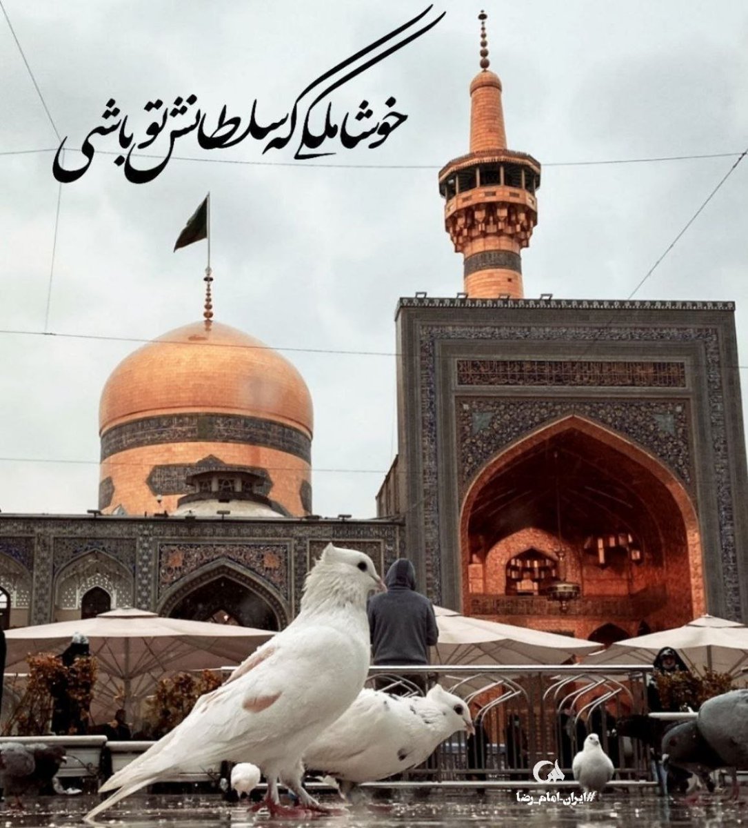 ققنوس بلوچستان tweet media