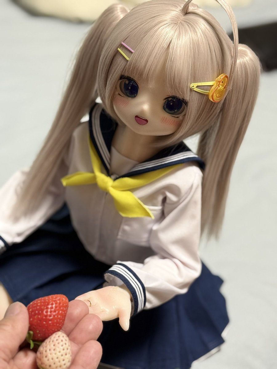 カロ@ラブド手芸部 tweet media