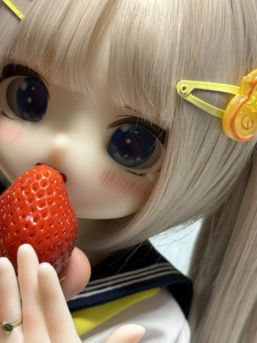 カロ@ラブド手芸部 tweet media