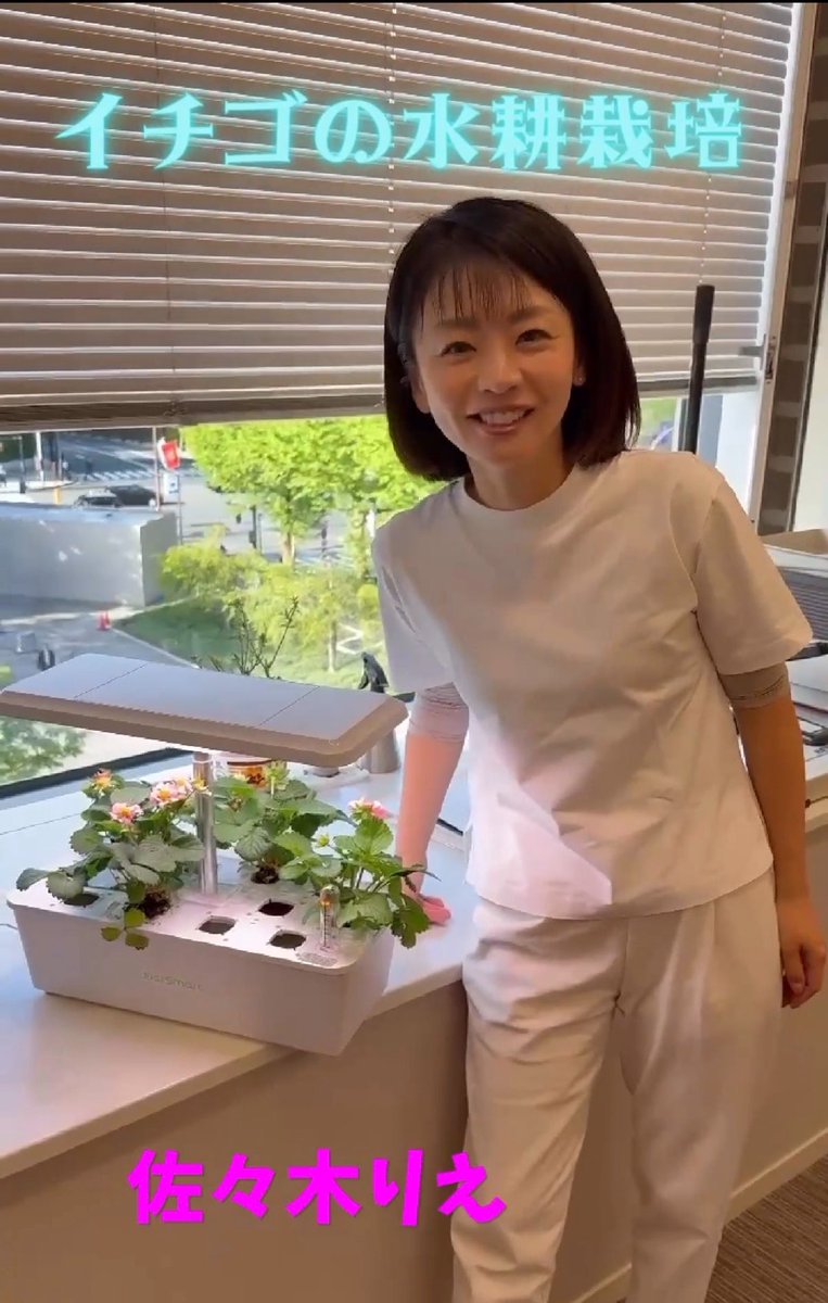 佐々木りえ（日本維新の会 参議院議員） tweet media