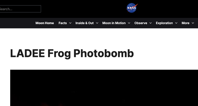bigboi tweet media