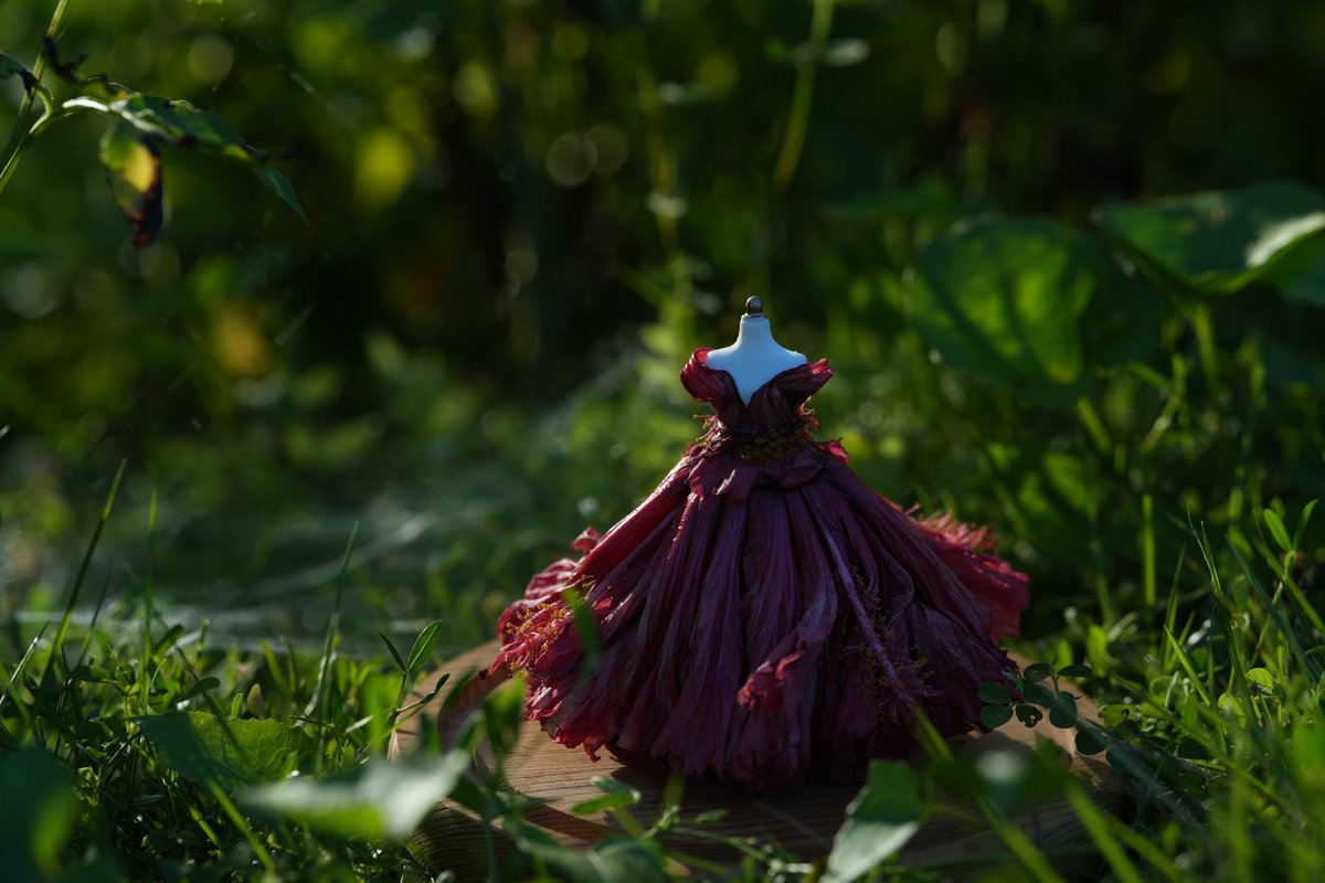 MiniNaturalM's tweet image. Elena of Avalor in full bloom! 🌺 Crafting her iconic red gown with real hibiscus petals.
#mininaturalmagic #diy #flowers #avalor #disney