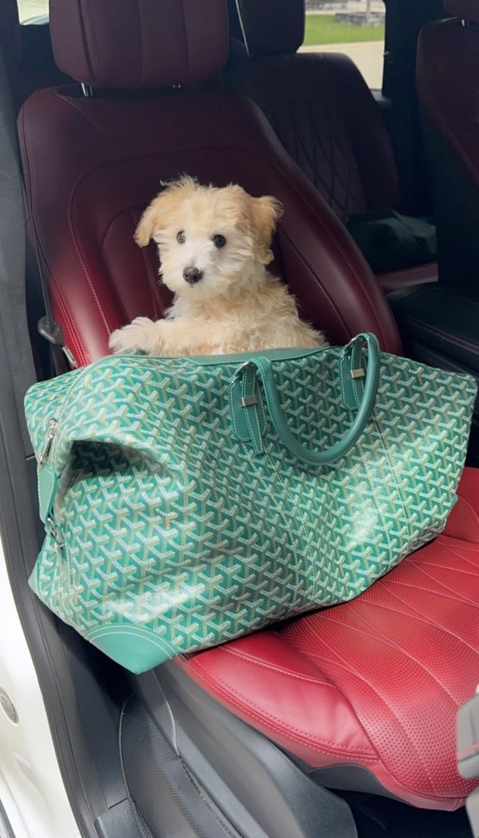 kev2slow's tweet image. #life #madeit 🤞💯