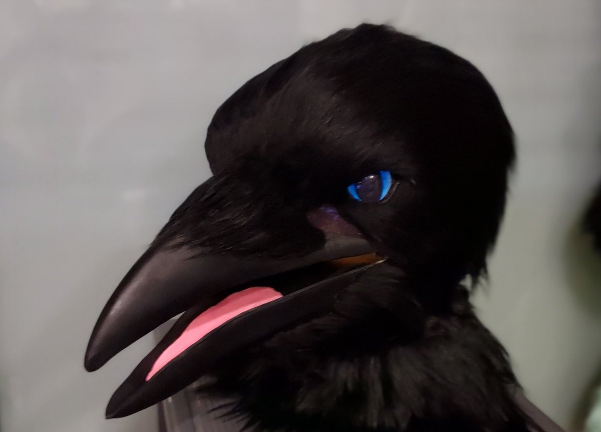 🦅櫻舞🦅 tweet media