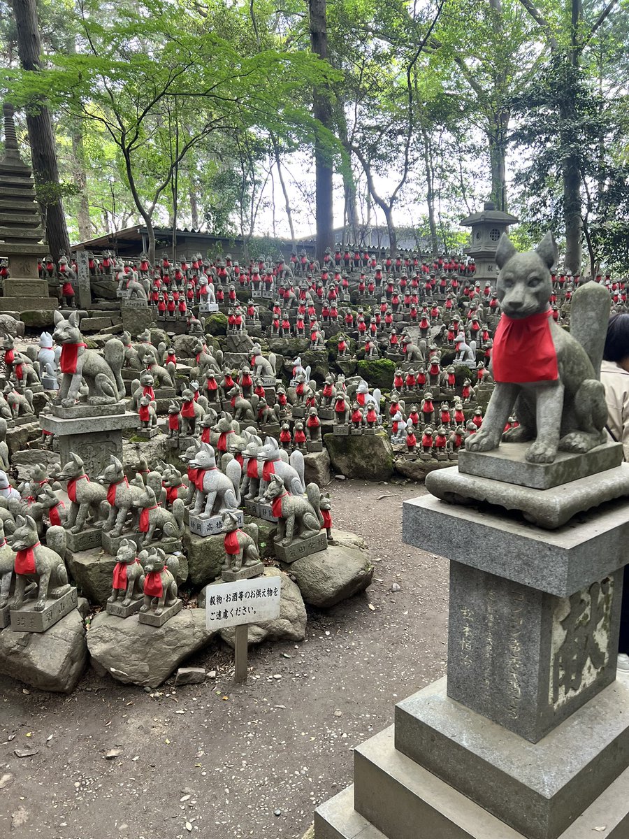 SSVさのてん@メガコンコルド1155豊川インター店 tweet media