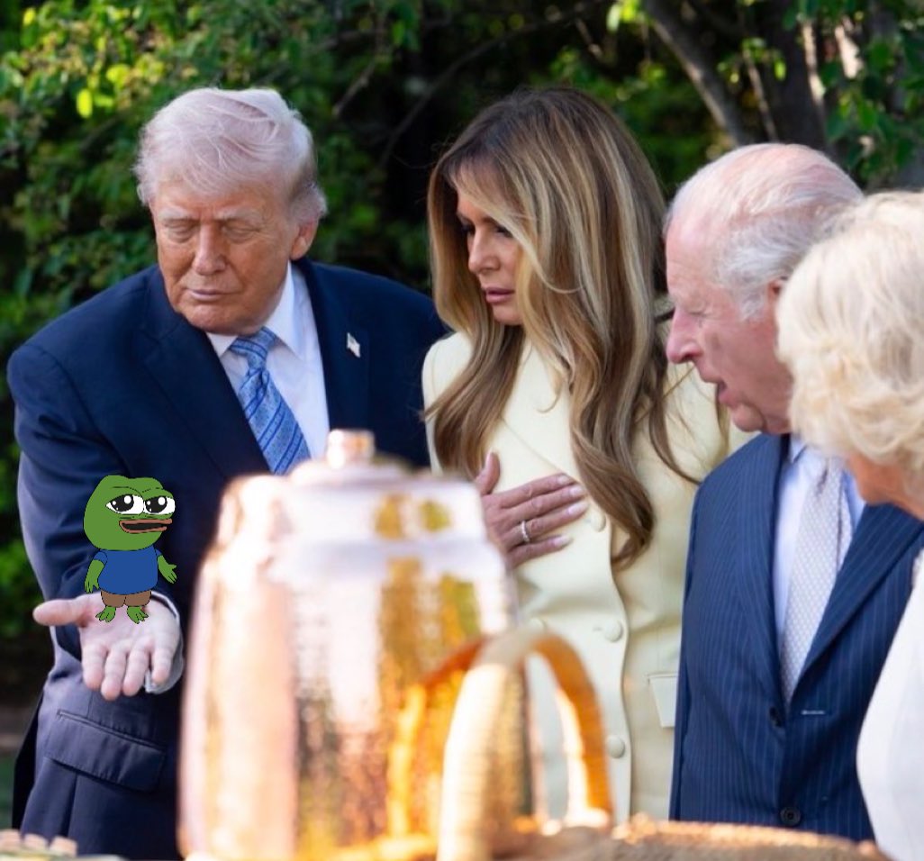 SwellToHorizon's tweet photo. @WhiteHouse Frog gud https://t.co/P6P5hefcqV