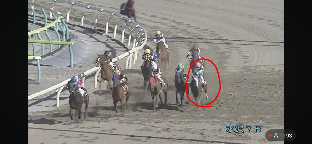 ぽんちゃん tweet media