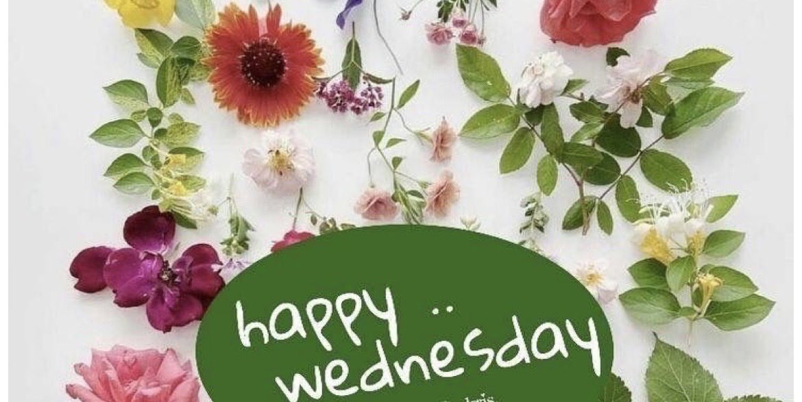 infogalleryhair's tweet image. Happy Wednesday!

We are back in salon today and ready for the week ahead.

Give us a call or message for your next appointment.

Love Team Gallery
#wednesday #insalon #call #message #appointment