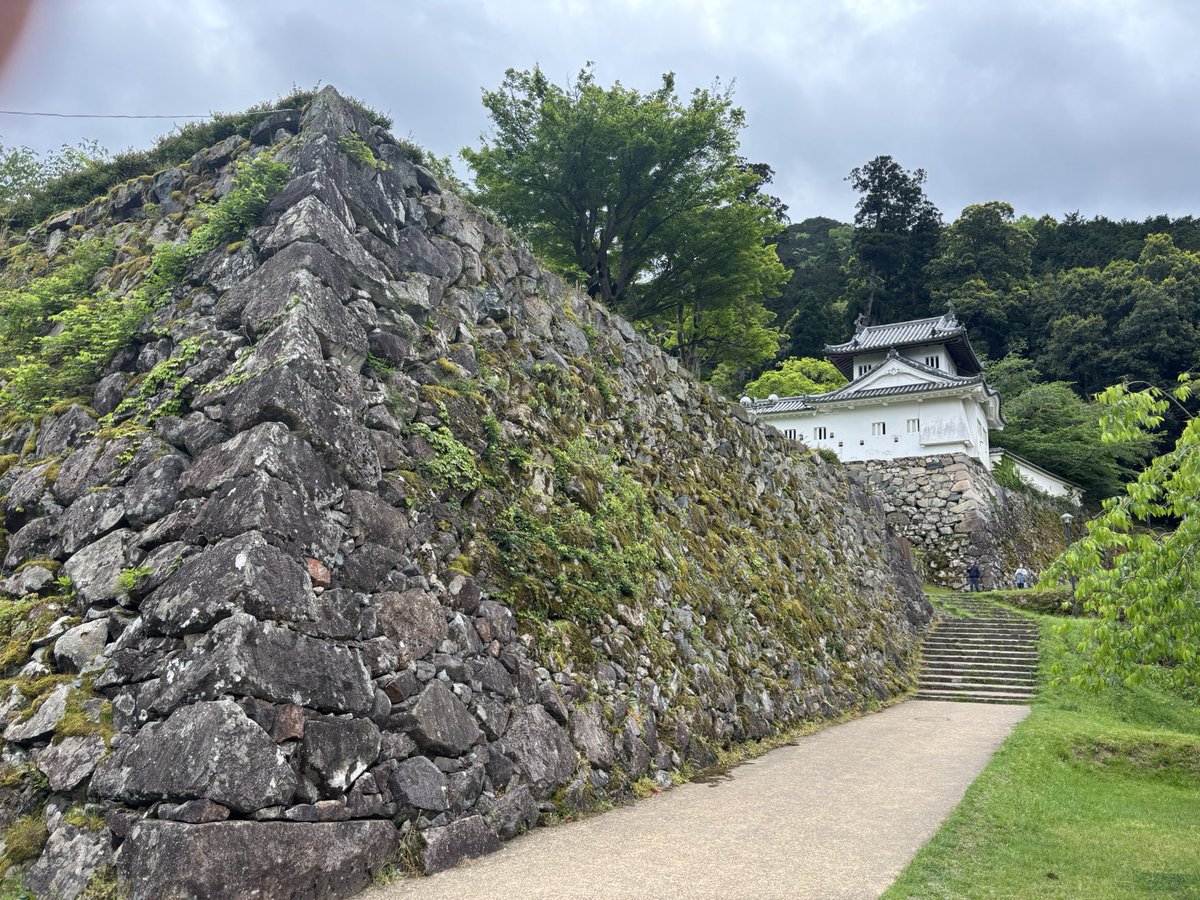 Moichi67's tweet photo. 早めのGWをいただき、山陽・山陰へ。8つ目は出石城・有子山城。続日本100名城,守護の山名氏が有子山城を築くが、豊臣秀長の攻撃で落城。その後、山麓に出石(いずし)城として改修。城下町は「但馬の小京都���と呼ばれた。
#JokakushiGakkai  #100meijyo #tojousoba #出石城 https://t.co/9U0KgEDMQg