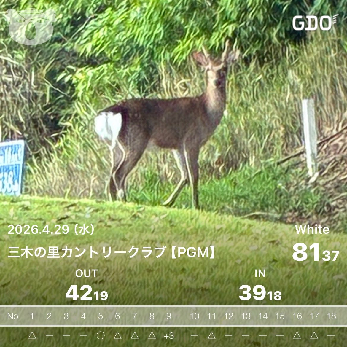 のっち⛳️ tweet media