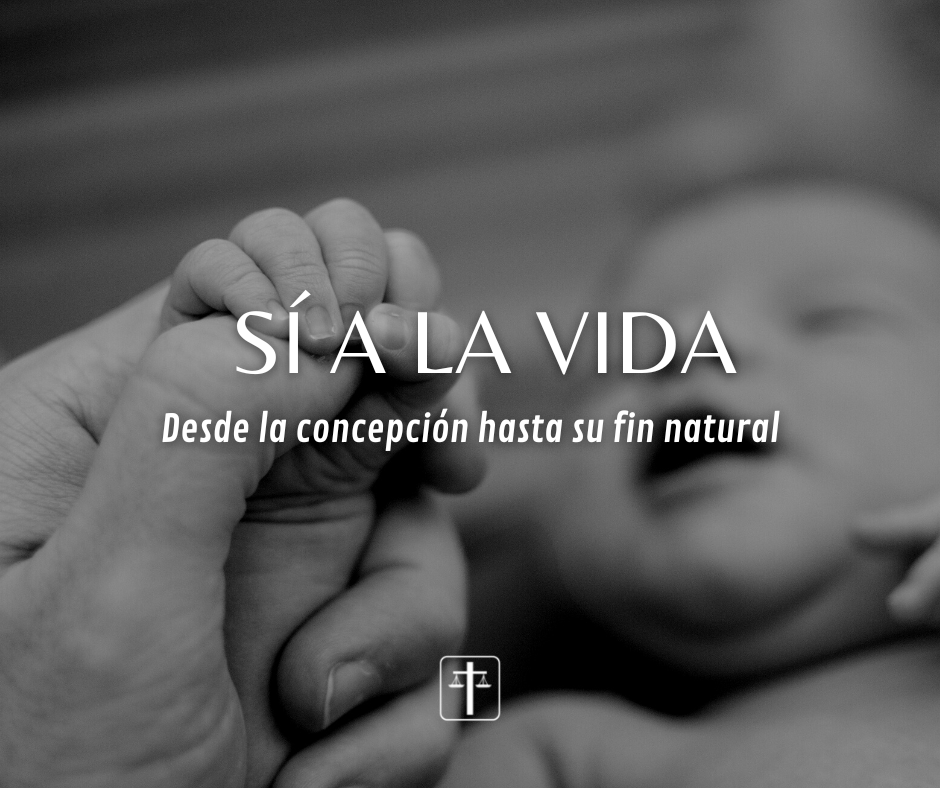 Abogados Cristianosﻦ tweet media