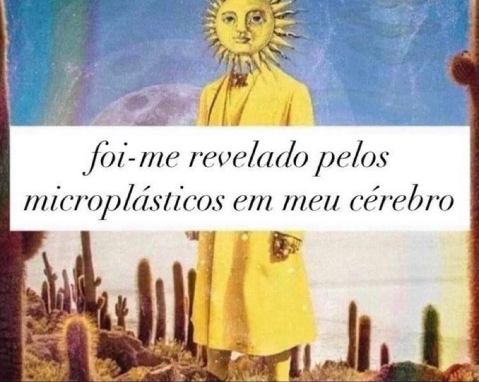 bicho do mato 🛸⃤ . tweet media