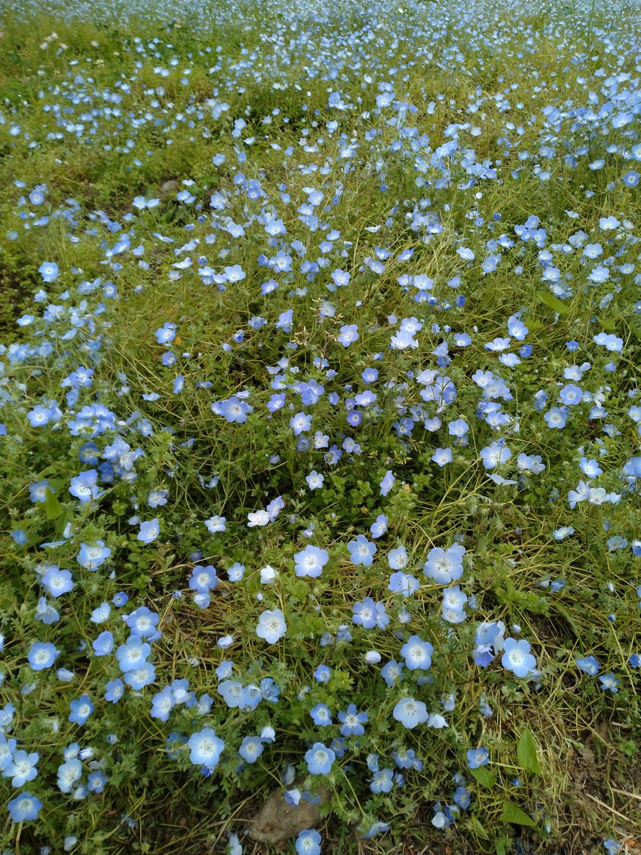 舎人公園を散歩