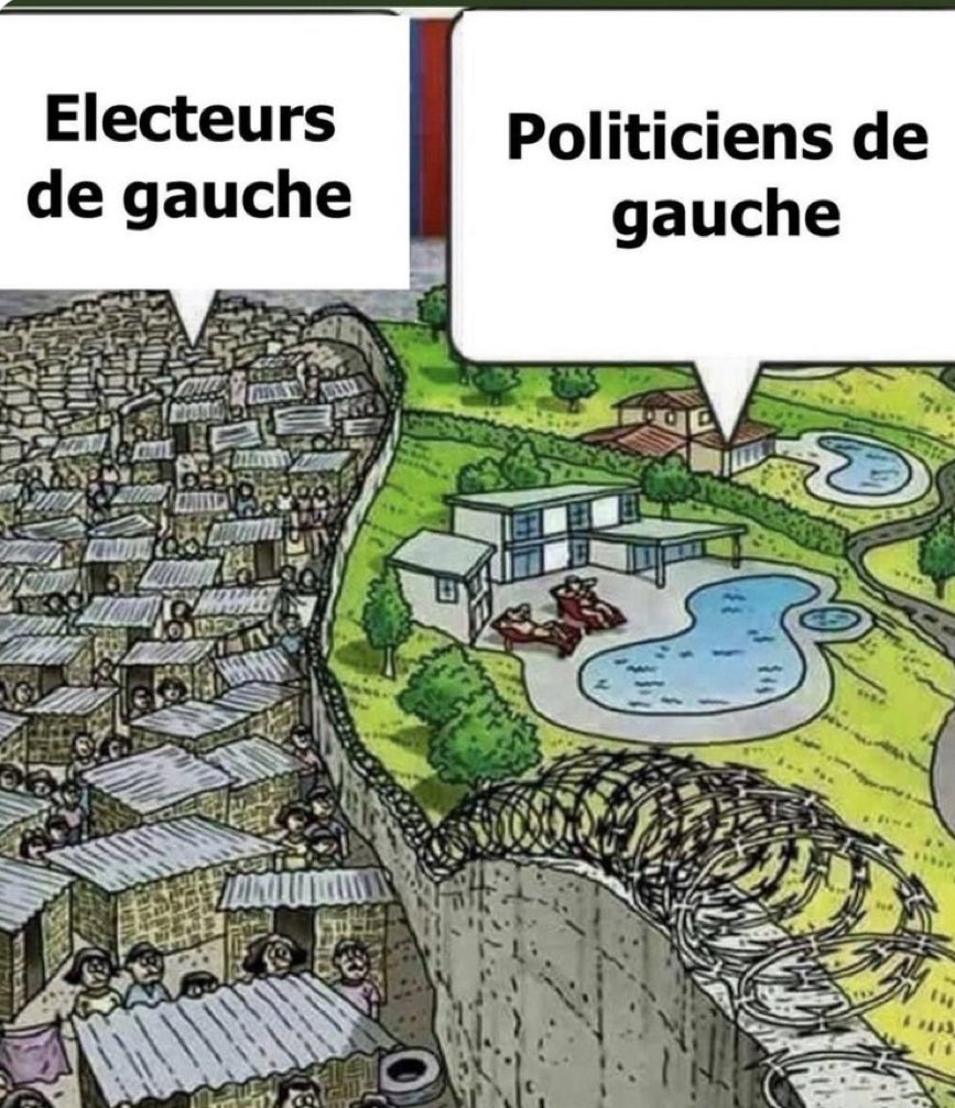 karine iliesco tweet media