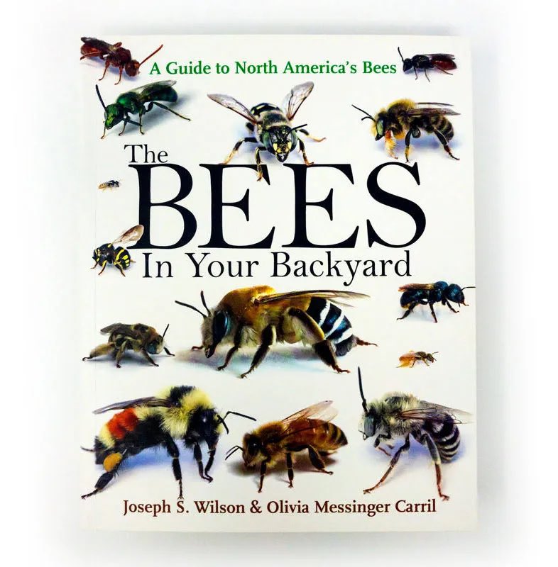 Dr Juliet Turner tweet media