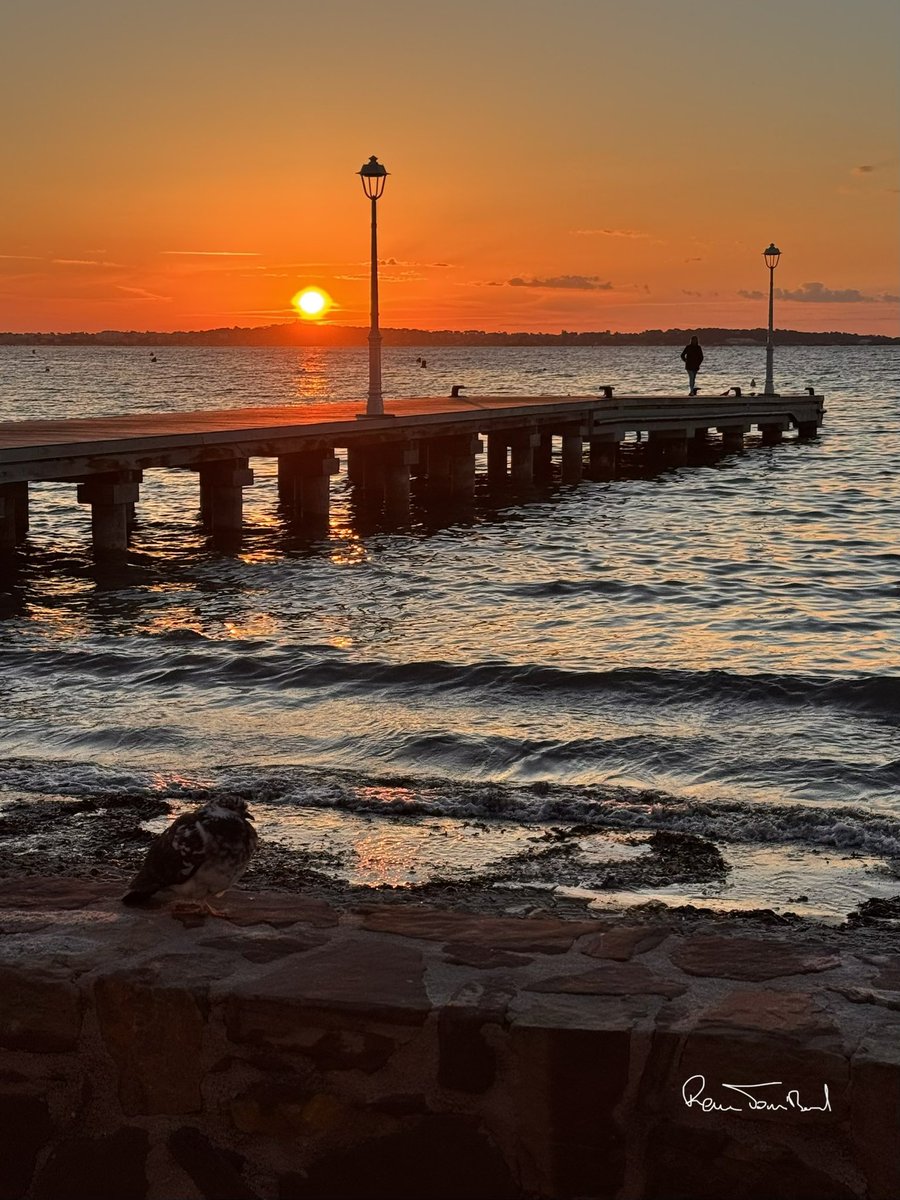 ReneTombarel's tweet image. Le spectacle de ce matin au lever du soleil #cannes #cotedazurfrance