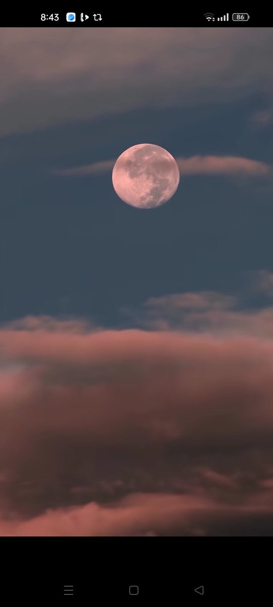 Moon Lovers tweet media