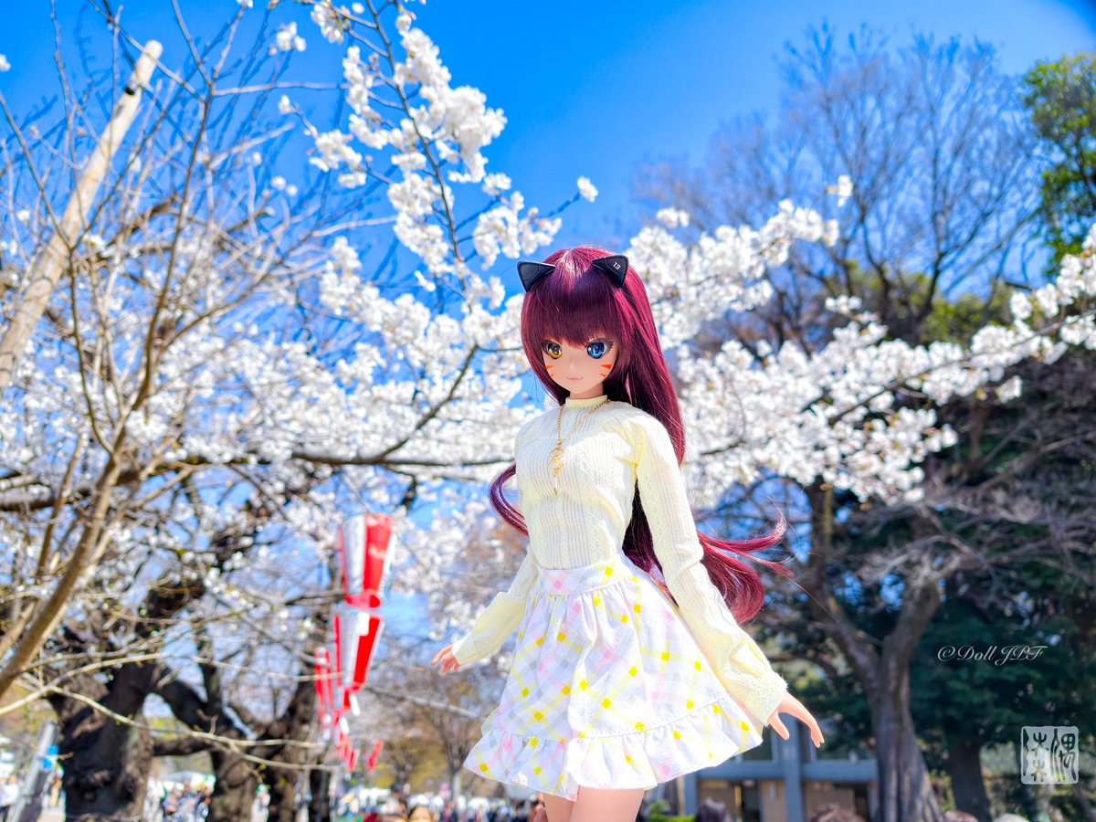 ぷーちゃん　0603★★★ 記憶に残る、未来に残す。齋藤飛鳥が着るセーブ・ザ・ダックのアウター