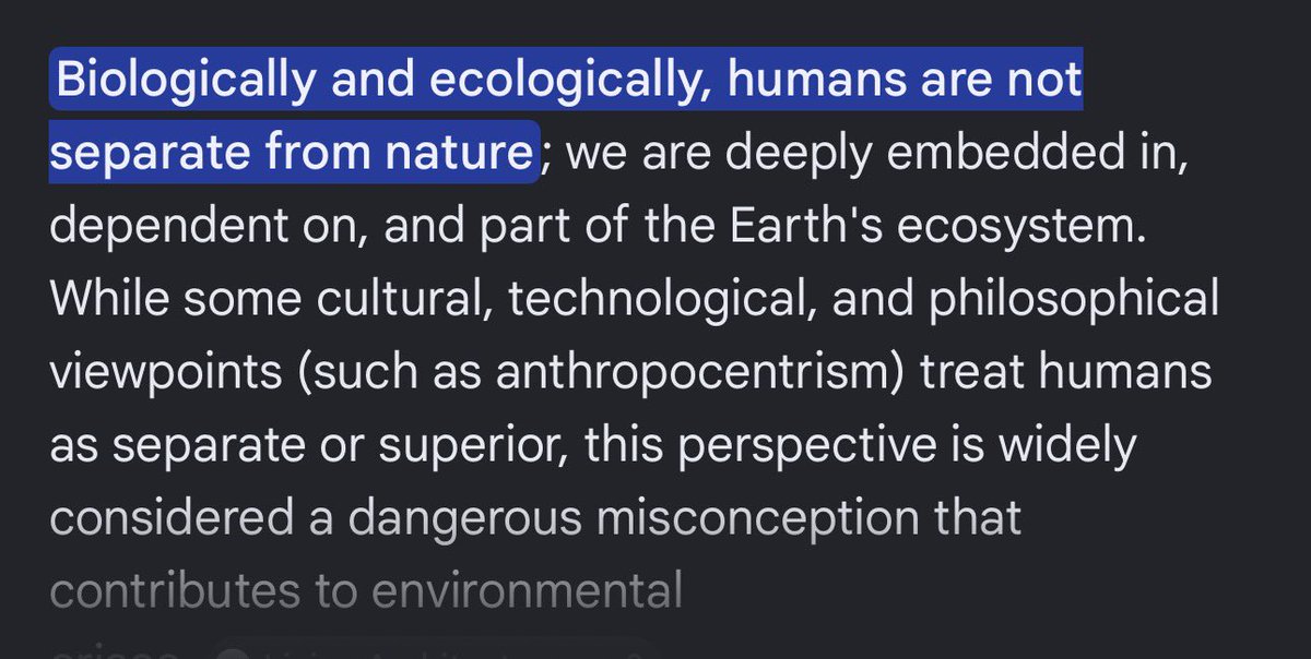 Tarot | Emmy Pulls Cards 🔮🌿 tweet media