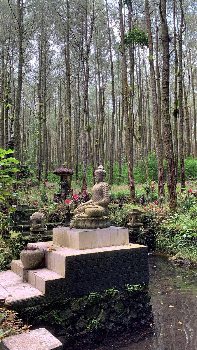 Alteredegoist tweet media