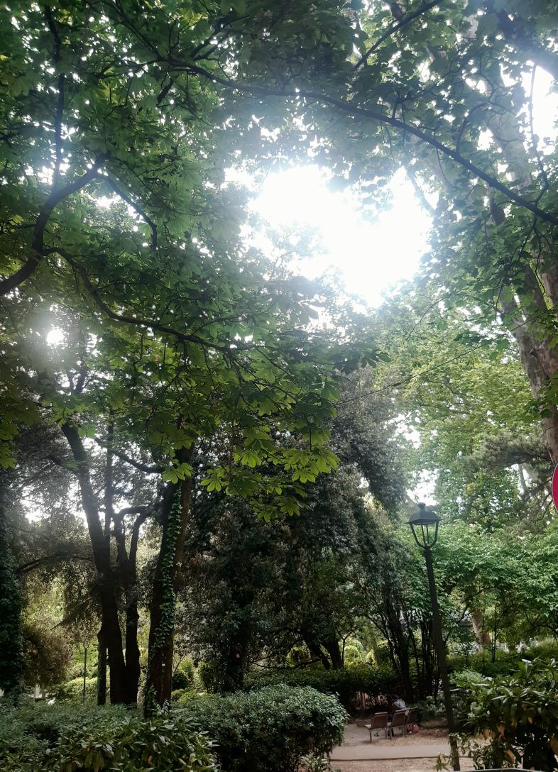 carmelfratantonio tweet media