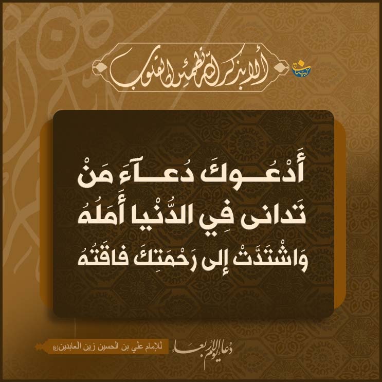 السيد محمد حسين فضل الله (رض) tweet media